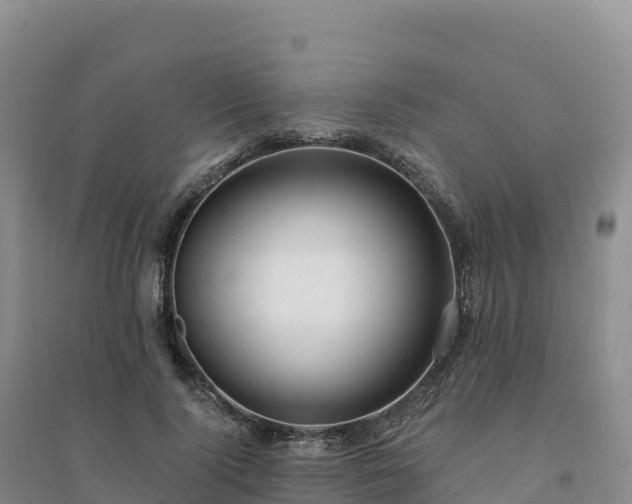 X0000094380740200711091601