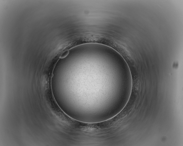 X0000094380743200711091601