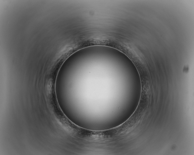X0000094380744200711091601