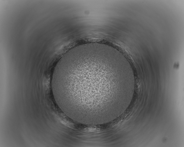 X0000094380745200711091601