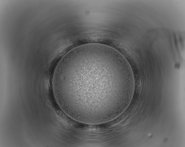 X0000094380746200711091601