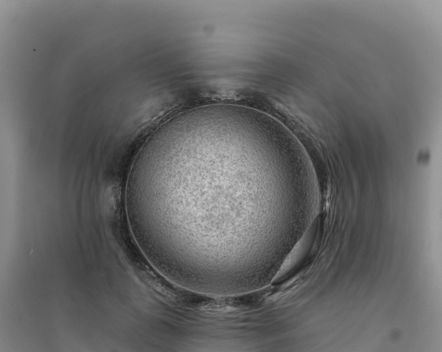 X0000094380747200711091601