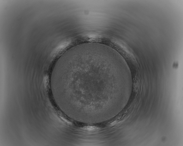 X0000094380748200711091601
