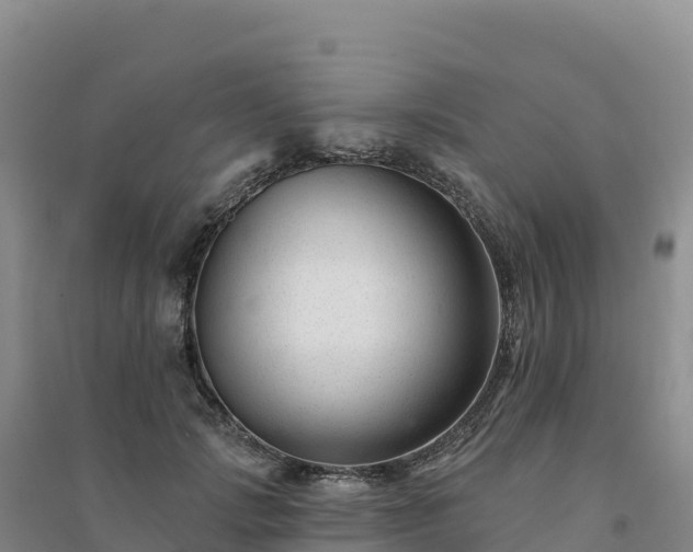 X0000094380749200711091601