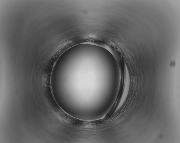 X0000094380750200711091601