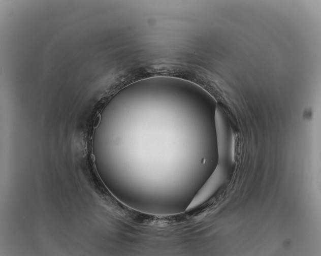 X0000094380751200711091601