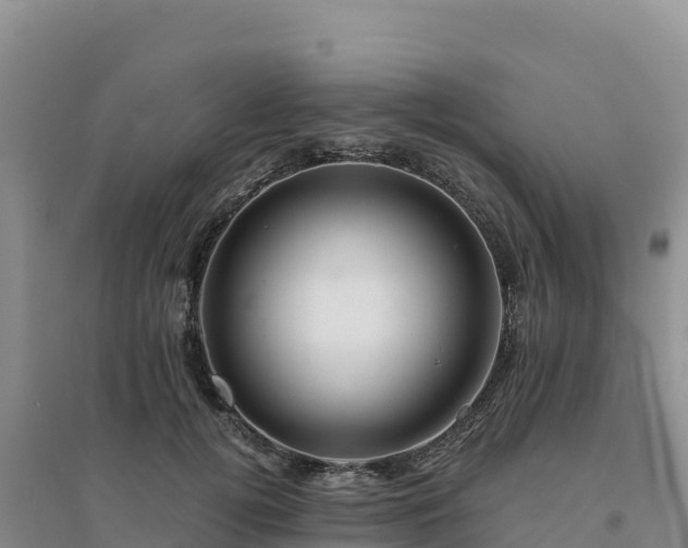 X0000094380752200711091601