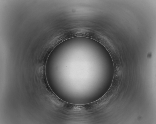 X0000094380753200711091601