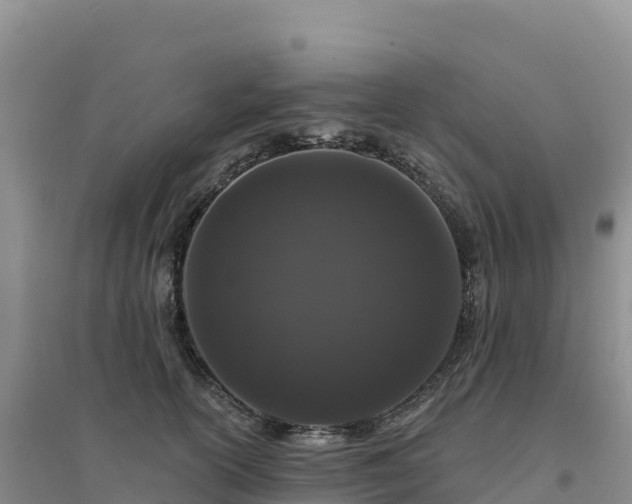 X0000094380754200711091601