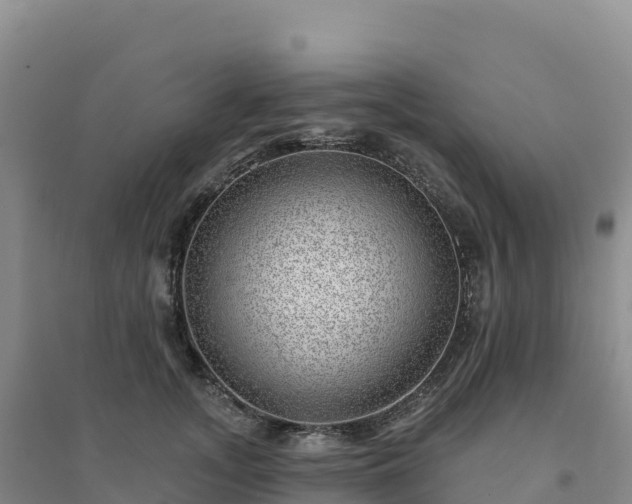 X0000094380755200711091601