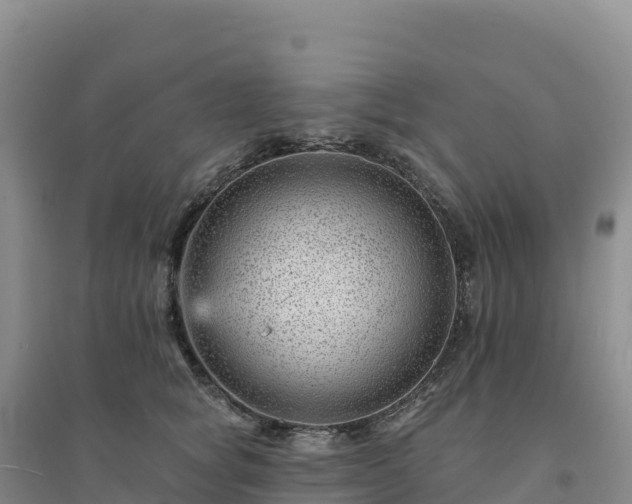 X0000094380757200711091601