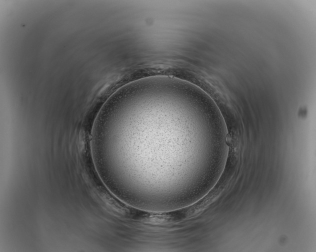 X0000094380758200711091601