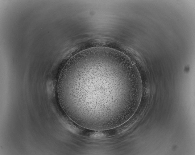 X0000094380759200711091601