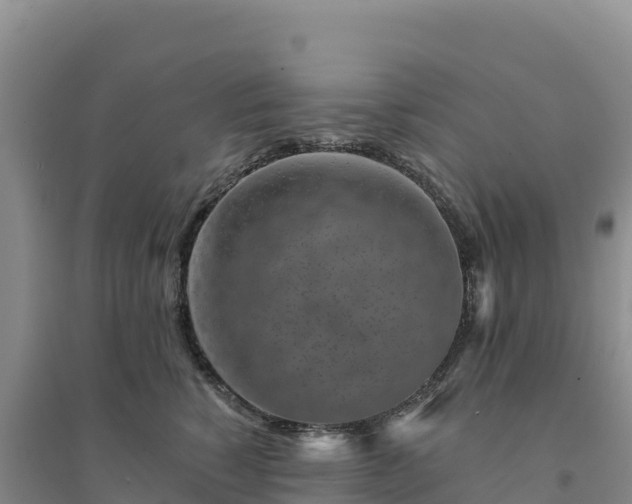 X0000094380760200711091601