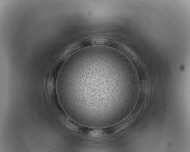 X0000094380761200711091601