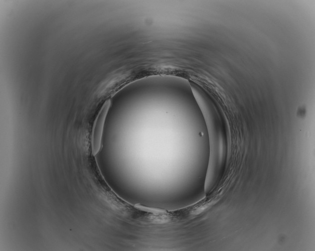 X0000094380762200711091601