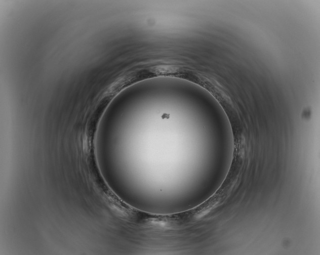 X0000094380763200711091601