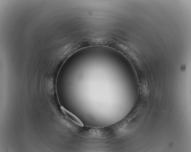 X0000094380764200711091601