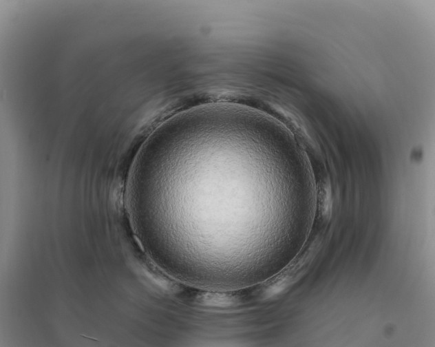 X0000094380766200711091601