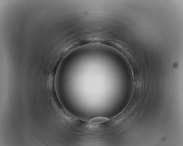 X0000094380767200711091601