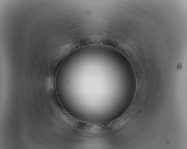 X0000094380768200711091601