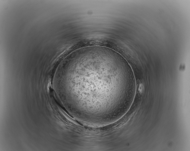 X0000094380771200711091600