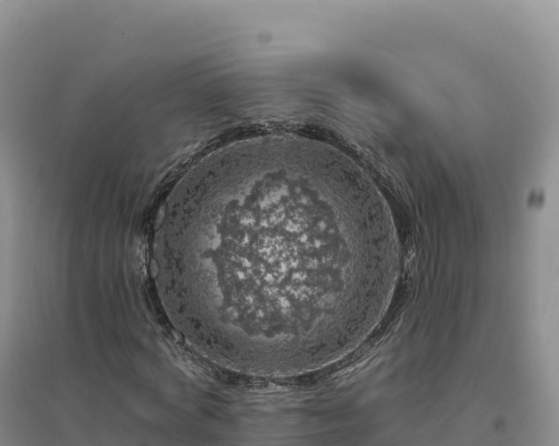 X0000094380772200711091600