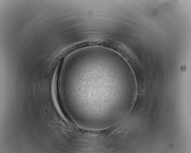 X0000094380773200711091600