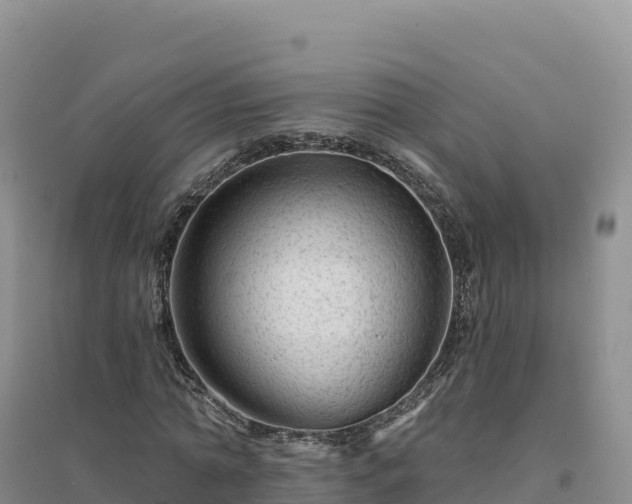 X0000094380774200711091600