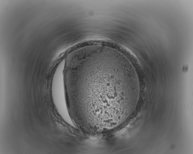 X0000094380775200711091600