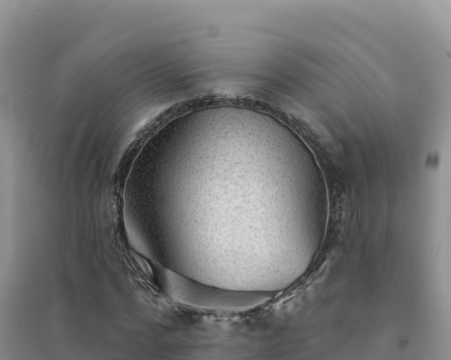 X0000094380776200711091600