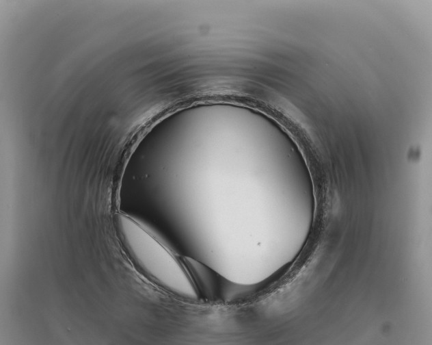 X0000094380777200711091600