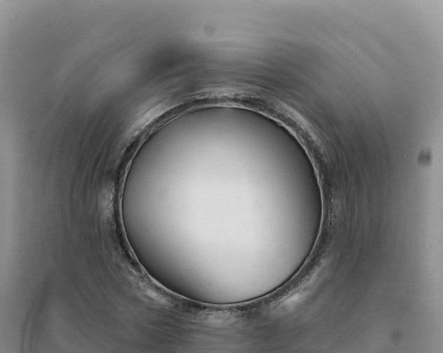 X0000094380778200711091600