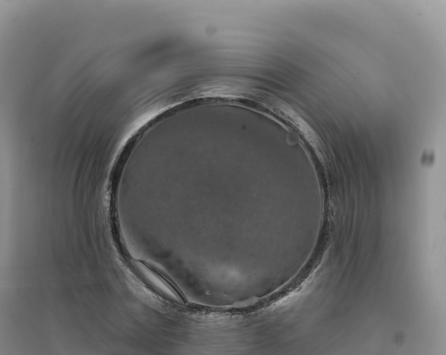X0000094380779200711091600