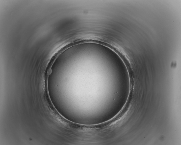 X0000094380782200711091600