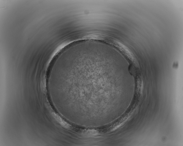 X0000094380784200711091600