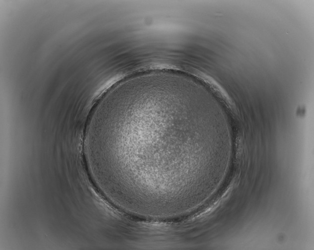 X0000094380785200711091600