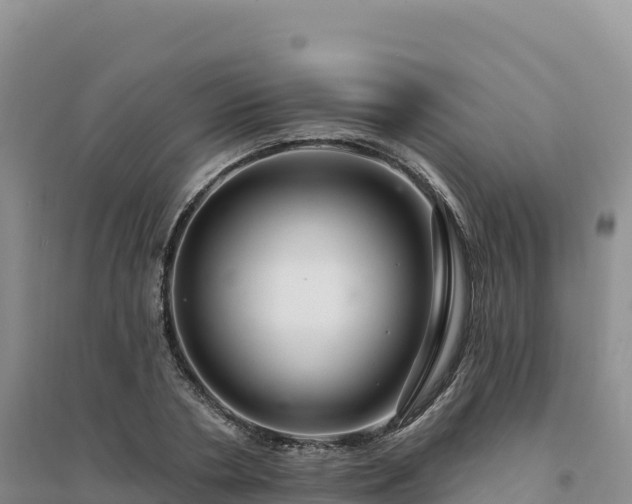 X0000094380786200711091600