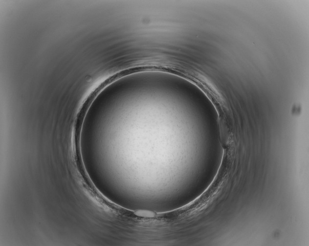 X0000094380788200711091600