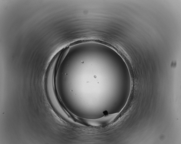 X0000094380789200711091600