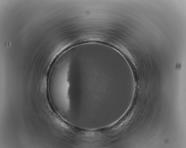 X0000094380790200711091600
