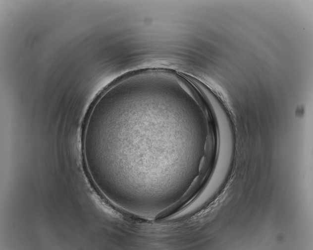 X0000094380792200711091600