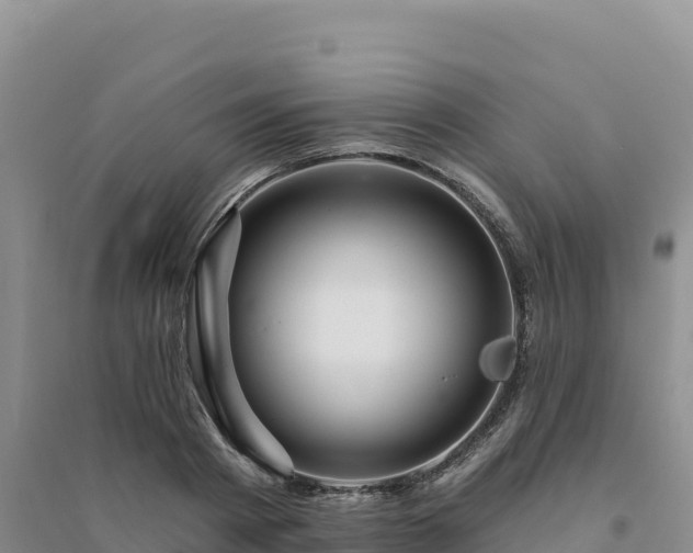 X0000094380793200711091600