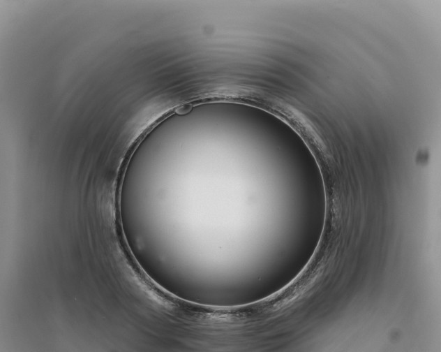 X0000094380794200711091600