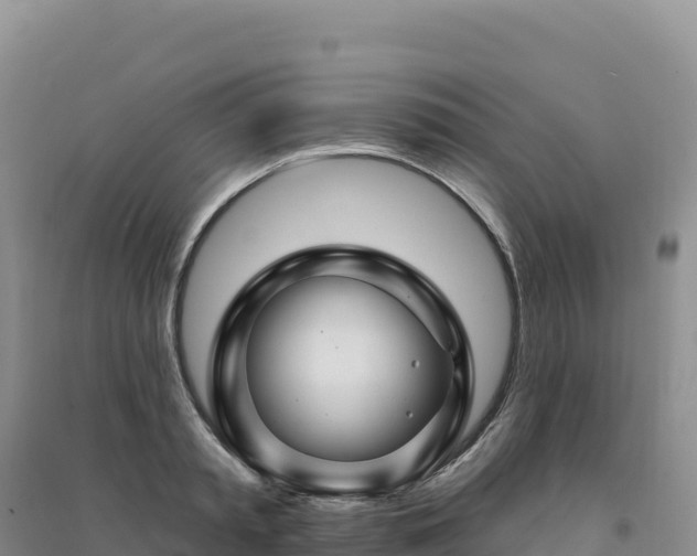 X0000094380797200711091600