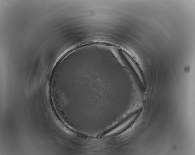 X0000094380798200711091600