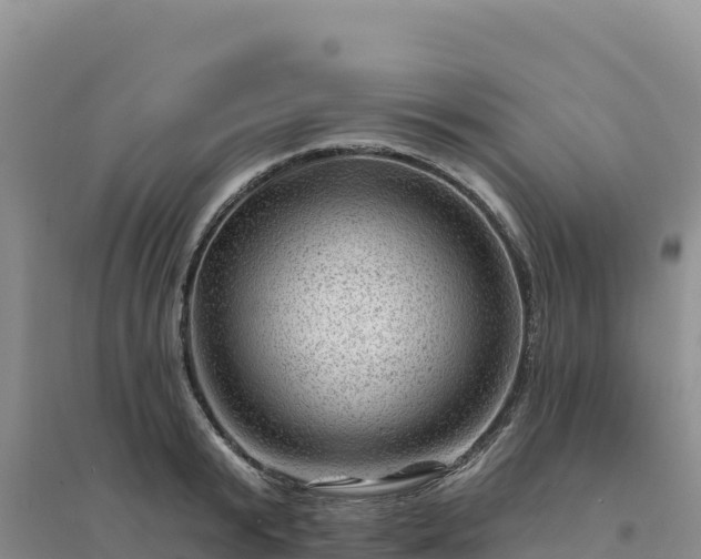 X0000094380799200711091600