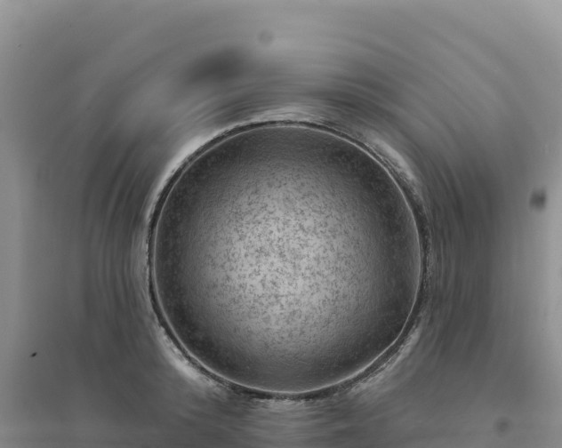 X0000094380800200711091600