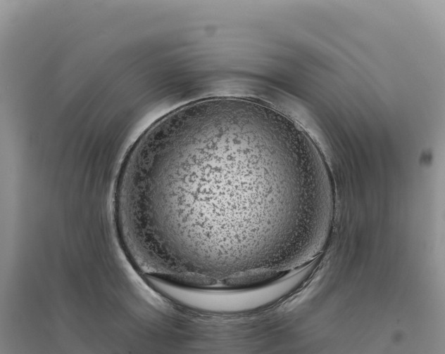X0000094380803200711091600