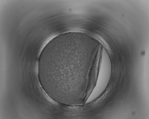 X0000094380804200711091600